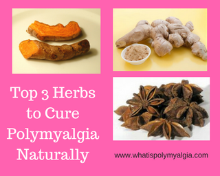 How To Treat Polymyalgia Rheumatica Naturally How To Treat Polymyalgia Rheumatica Naturally